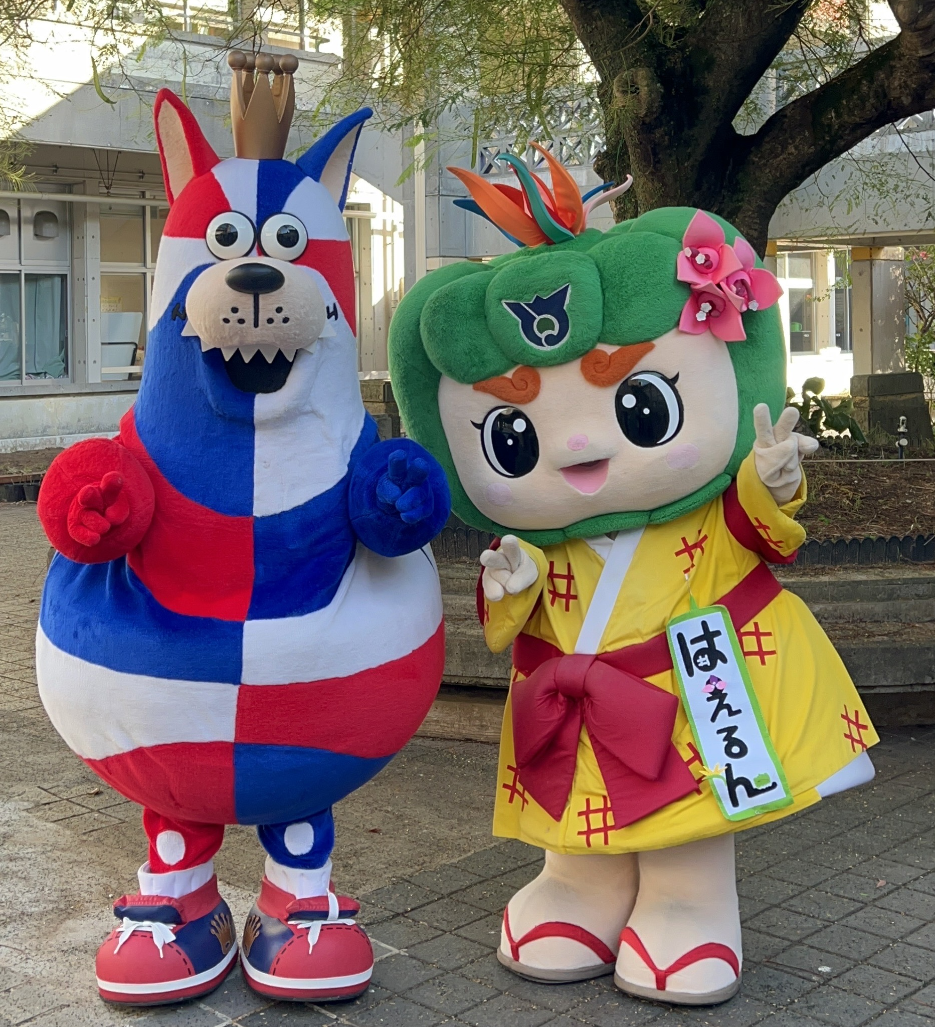 はえるんゴーディー