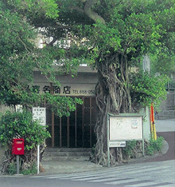 ガジュマルで覆われた照喜名商店の画像