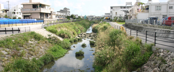 国場川の画像