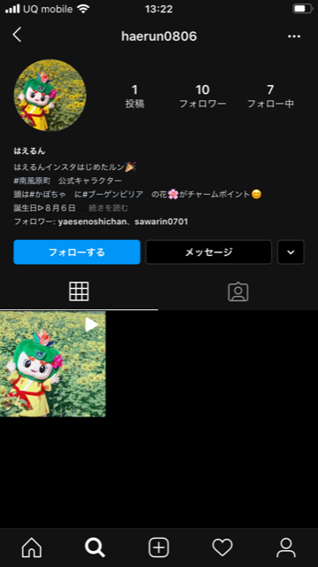 はえるんインスタ