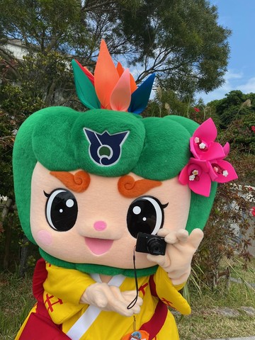 3月19日はカメラ発明記念日の画像1