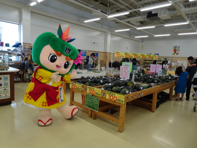 かぼちゃの販促のお手伝いをしたルンの画像1