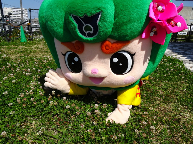 3月28日は三つ葉の日の画像1