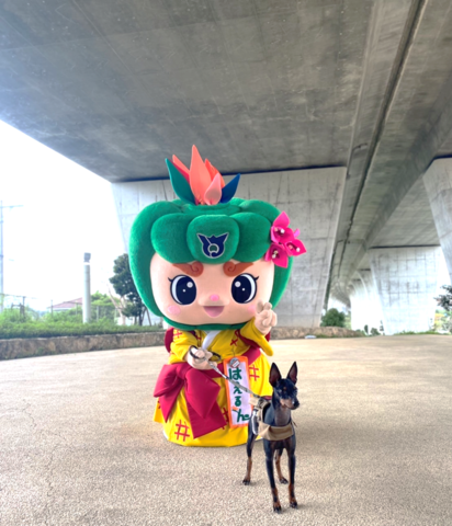 5月13日は愛犬の日の画像1