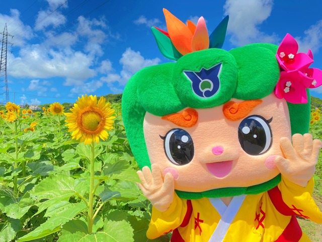 ひまわり畑へ行ったルンの画像1