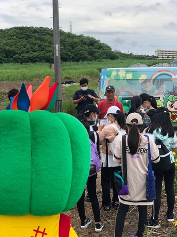 ヘチマの勉強会の画像1