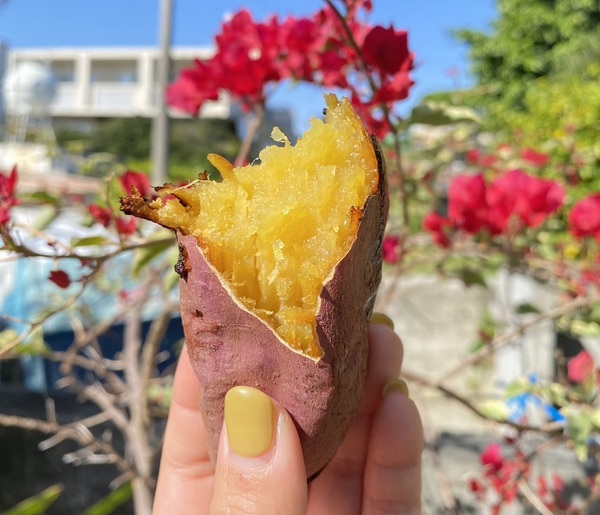 くり太郎の画像1