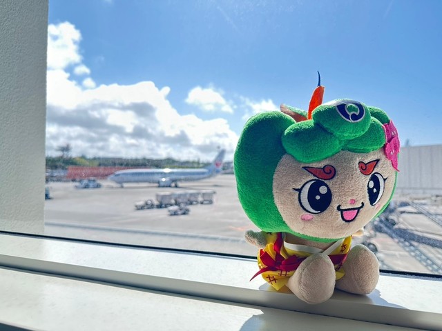 豊田スタジアムのみなさんありがとうございましたルンの画像1