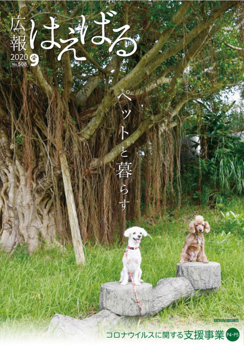 『広報はえばる』2020年9月号の画像