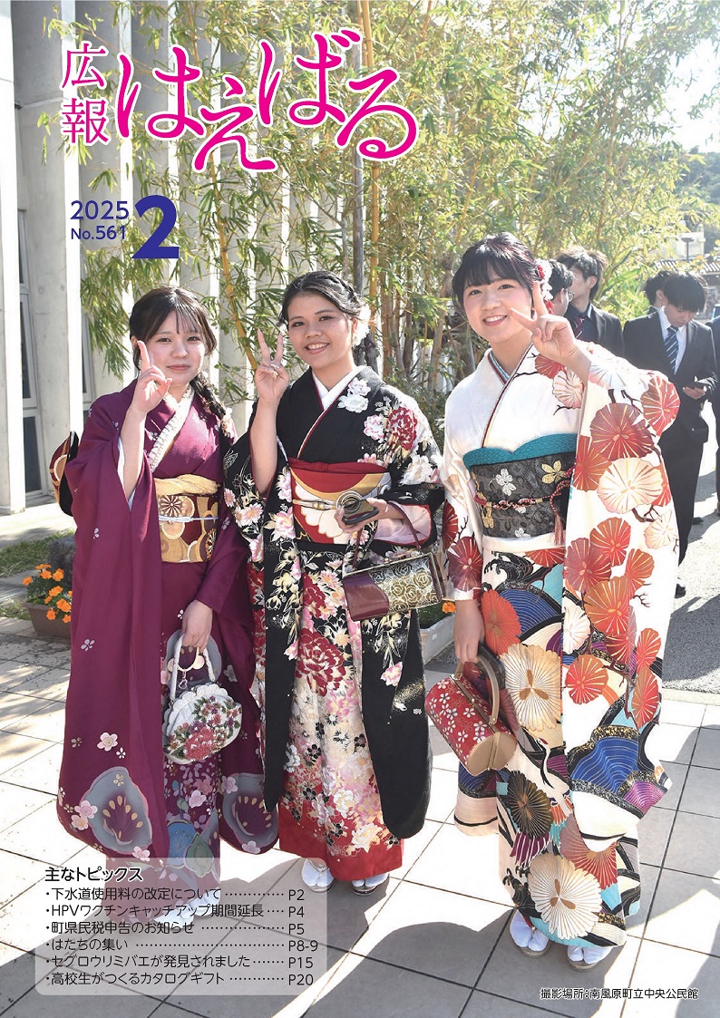 広報はえばるNo261_表紙.jpg