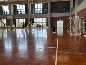 男子ハンドボール