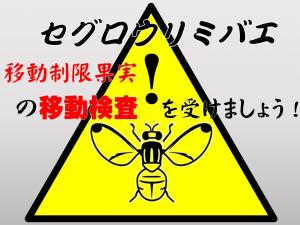 セグロウリミバエの移動制限果実の検査申請を受けましょう！